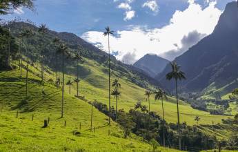 Colombia: Culture, Coffee & Caribbean