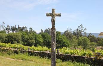 Portuguese Camino Highlights Walk