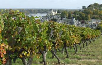 Cycle the Loire Valley