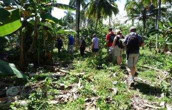 Cuba: La Isla Grande