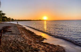 Cuba: La Isla Grande