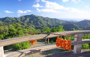 Cuba: La Isla Grande