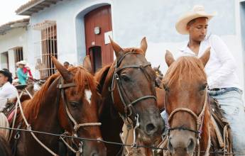 Cuba: La Isla Grande