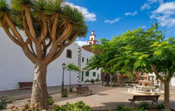 Highlights of El Hierro Walk