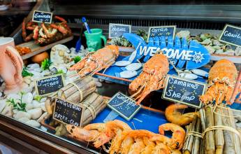 Walking Portugal’s Wild Algarve