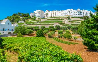 Journey through Puglia to Matera