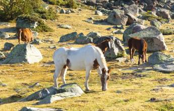 Walking the Rugged Pyrenees of Andorra