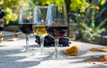 Tour the Treasures of Portugal