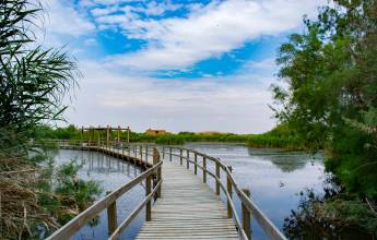 Jordan: Culture & Nature In Depth