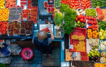 Walks of the Baltics and Finland