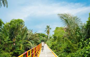 Thailand Family Adventure