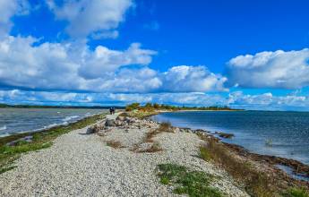 Walks of the Baltics and Finland