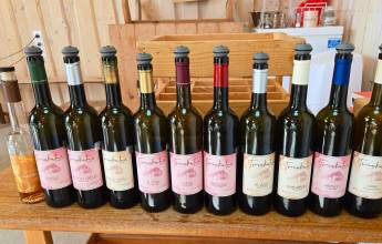 Walks of the Baltics and Finland