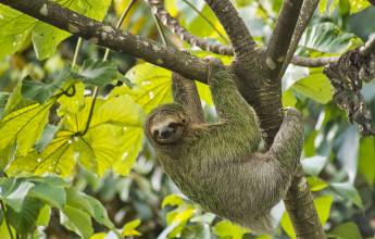 Discover Costa Rica – Coastal Edition