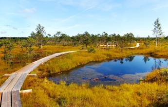 Walks of the Baltics and Finland