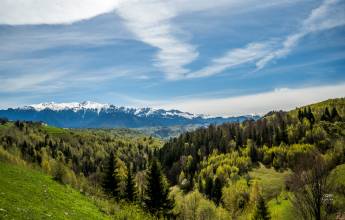 Walking in Transylvania and the Carpathian Mountains