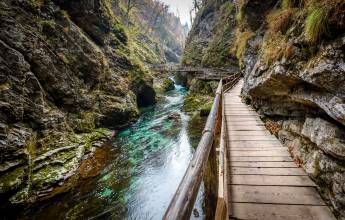 The Vintgar Gorge