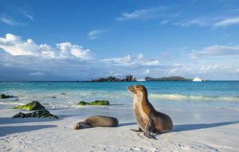 Island Hopping in the Galapagos