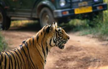 Colours of Rajasthan