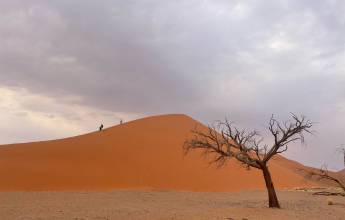 Botswana & Namibia: Delta & Dunes