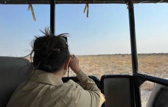 Botswana & Namibia: Delta & Dunes