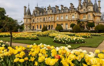 Cambridge to Oxford: WWII & Colleges – Private Group Adventure