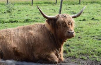 Classic Scotland: Edinburgh to the Highlands