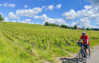 Cycle the Loire Valley