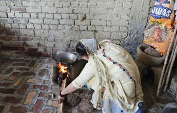 Foothills of the Himalaya