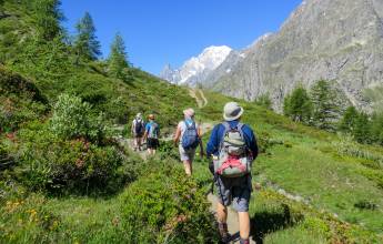 Tour du Mont Blanc Hotel Trek