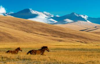 The Five Stans of the Silk Road – Ashgabat to Almaty