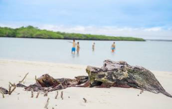 Galapagos Walking Adventure