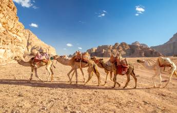 Kingdoms of Jordan – Premium Adventure