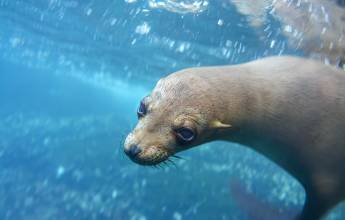 Galapagos Walking Adventure