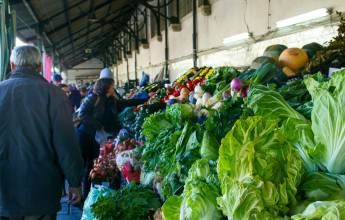 Discover Northern Portugal – Premium Adventure