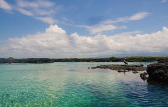 Galapagos Walking Adventure