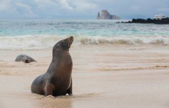 Galapagos Walking Adventure