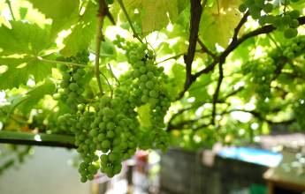 Discover Northern Portugal – Premium Adventure