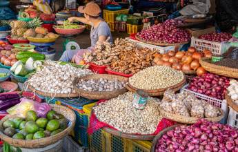 Best of Vietnam – Premium Family Adventure