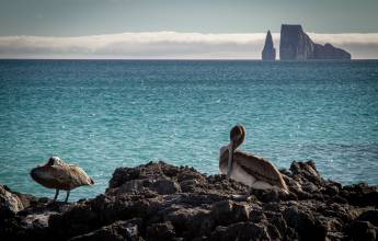 Galapagos Walking Adventure