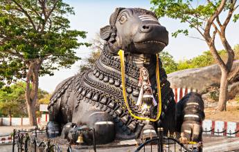 Discover South India – Premium Adventure