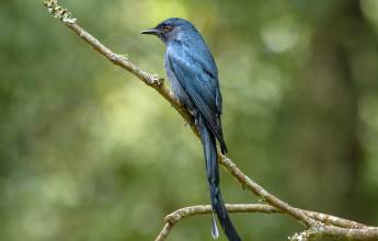 Discover South India – Premium Adventure