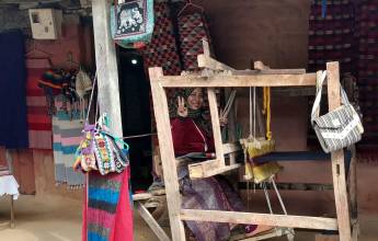Annapurna to Chitwan: Walks & Wildlife
