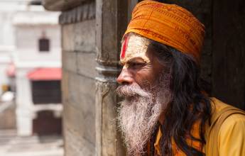 Annapurna to Chitwan: Walks & Wildlife