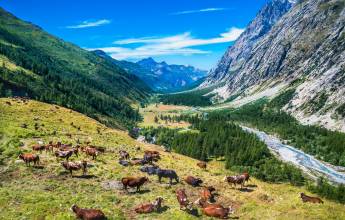 Tour du Mont Blanc Hotel Trek