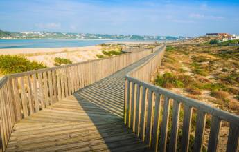 Coimbra to Lisbon Cycling