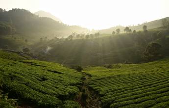 Discover South India – Premium Adventure