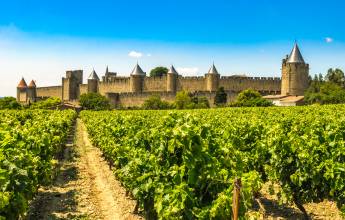 Carcassonne vineyards
