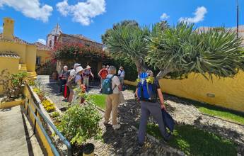 Madeira Discovery Premium Adventure