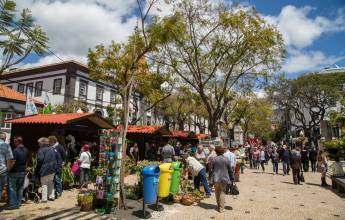 Madeira Discovery – Premium Adventure